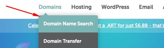 domain search