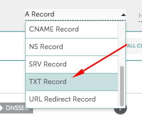 TXT Record